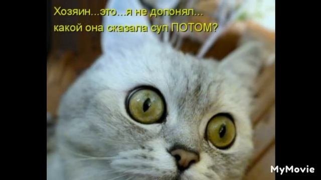 смешные картинки