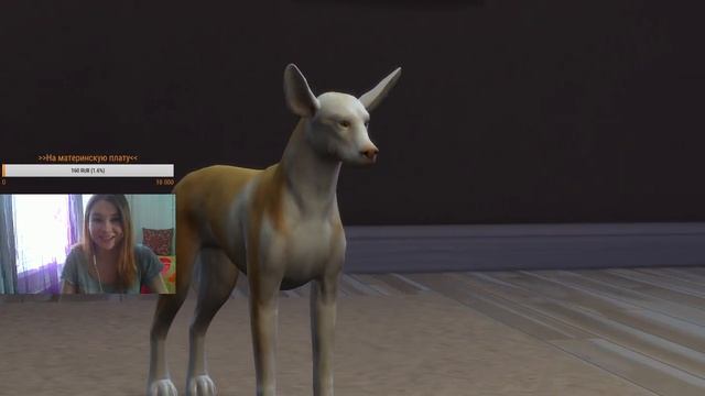 СТРИМ THE SIMS 4 "КОШКИ И СОБАКИ" - СЕСТРА ВАСИ смотреть онлайн