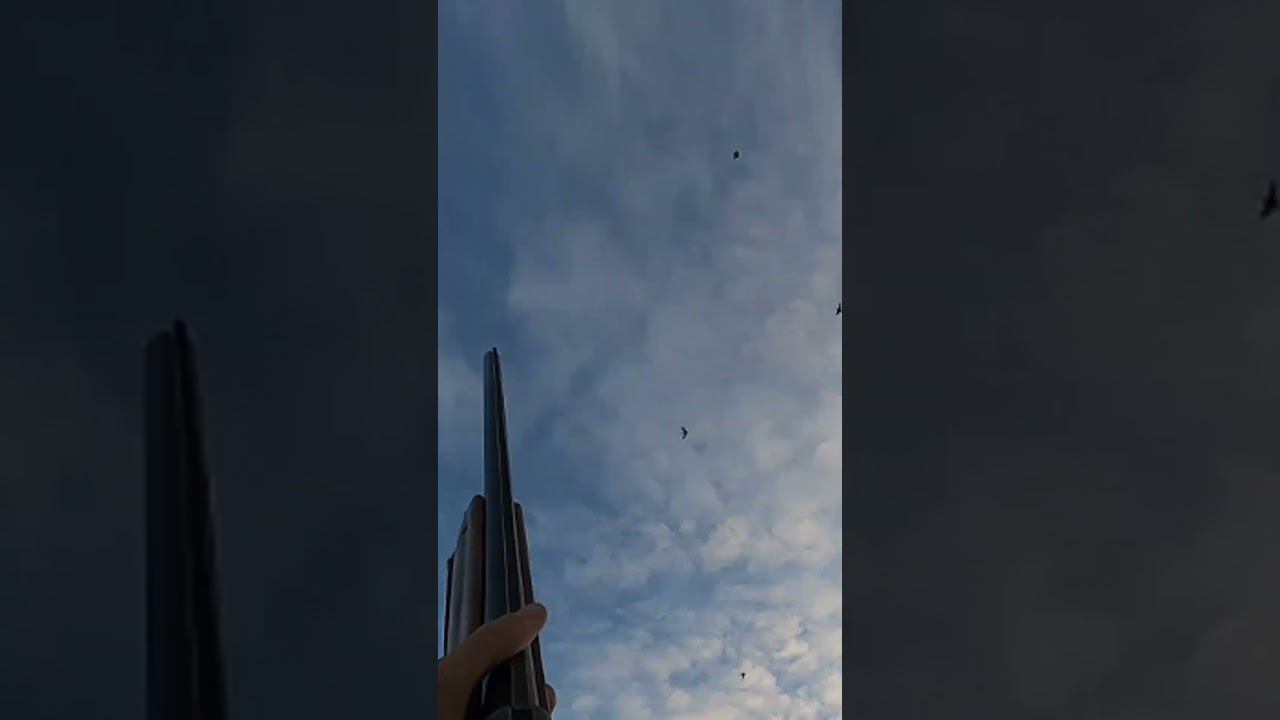 ОХОТА на УТКУ в КАЗАХСТАНЕ #охотанагуся #охота #охотанауток