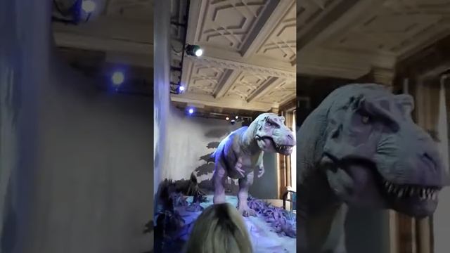 T Rex in London  National History Museum 2018