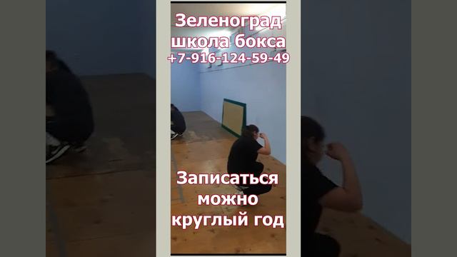 Зеленоград  школа бокса