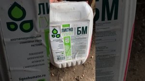 Чем протравить чеснок перед посадкой/ обработка чеснока перед посадкой/ протравитель чеснока