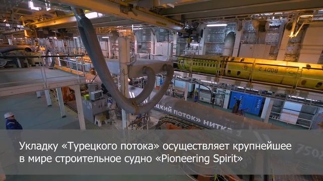 Турецкий поток проект