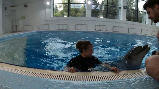 Купание с дельфином в Новосибирске смотреть онлайн