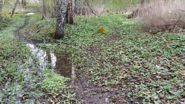 Мой уникальный старый деревенский дом//Речка вышла из берегов смотреть онлайн