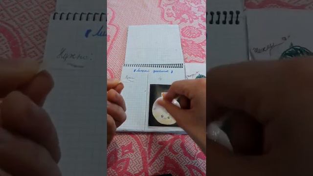 (Бумажный каталог)новинка смотреть онлайн