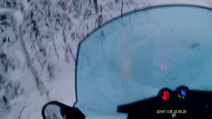 На снегоходе Скандик 550 в лесу сквозь ветки...