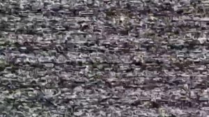 13.03.2024. Подбитый транспорт ВСУ, операторам ВС РФ. Нетаилово