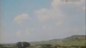 ИСТОРИЯ ДОНЕЦКА, ДОНЕЦКОЙ ОБЛАСТИ