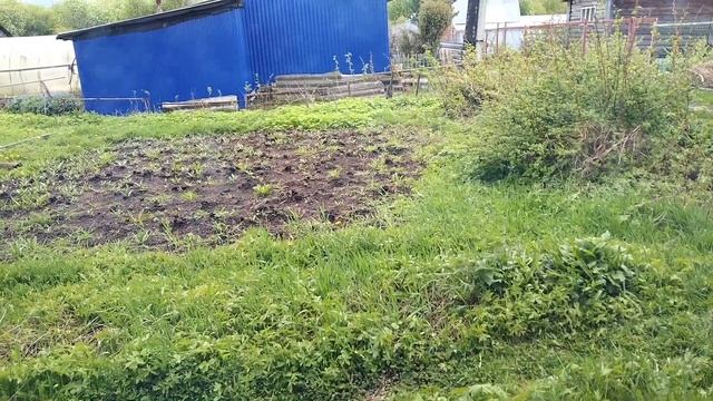 #Влог #Отпуск #Дача Мой любимый Огород ☀️?? смотреть онлайн