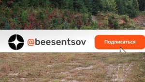 Как пчеловоду обновлять ульи на пасеке и диверсифицировать свой доход? Боб Бинни (США)