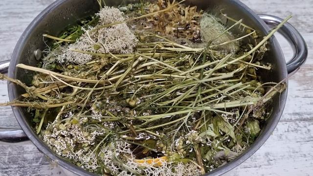 ПОЛЕЗНЫЙ травяной отвар для КУР НЕСУШЕК в зимний период/ВИТАМИННЫЙ чай поднимающий ИММУНИТЕТ