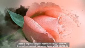 Ольга Фаворская. Доченька . ( Моя Взрослая Красивая Дочь )