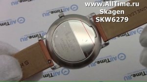 Обзор. Мужские наручные часы Skagen SKW6279