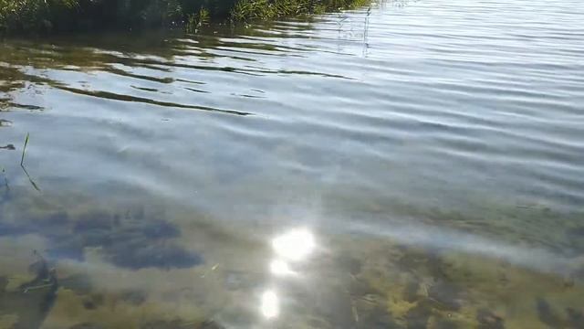 Вода. Солнечные блики. Песчаное дно. Full HD смотреть онлайн