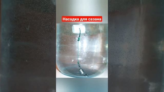 Насадка наживка для сазана. Рыбалка 2023 для начинающих новичков.