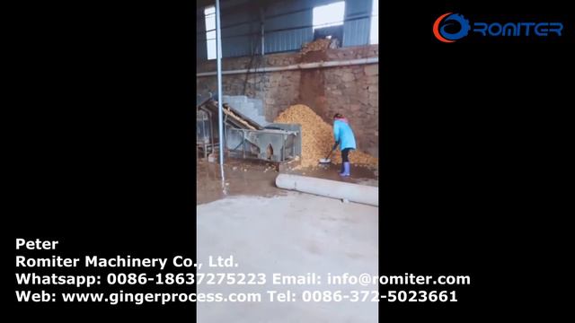 Производитель автоматических машин для производства ломтиков обезвоженного имбиря смотреть онлайн