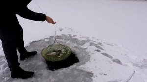 Ловля раков зимой на раколовки