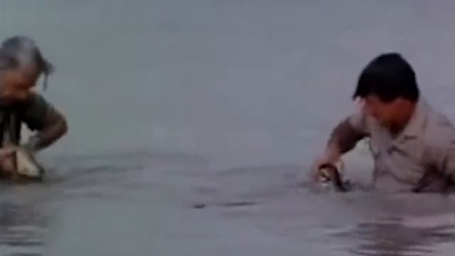 Giant Snake - Anaconda Eats Man Alive (Real or Fake?) смотреть онлайн