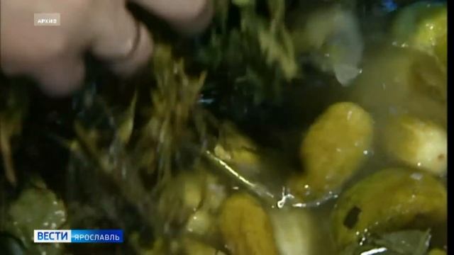 Вятский огурец выиграл в двух номинациях конкурса «Вкусы России» смотреть онлайн