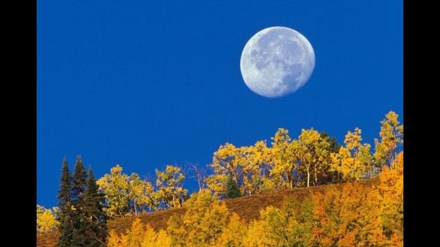 Осенняя луна , Николай Рубцов , Советская Поэзия , читает Павел Беседин смотреть онлайн