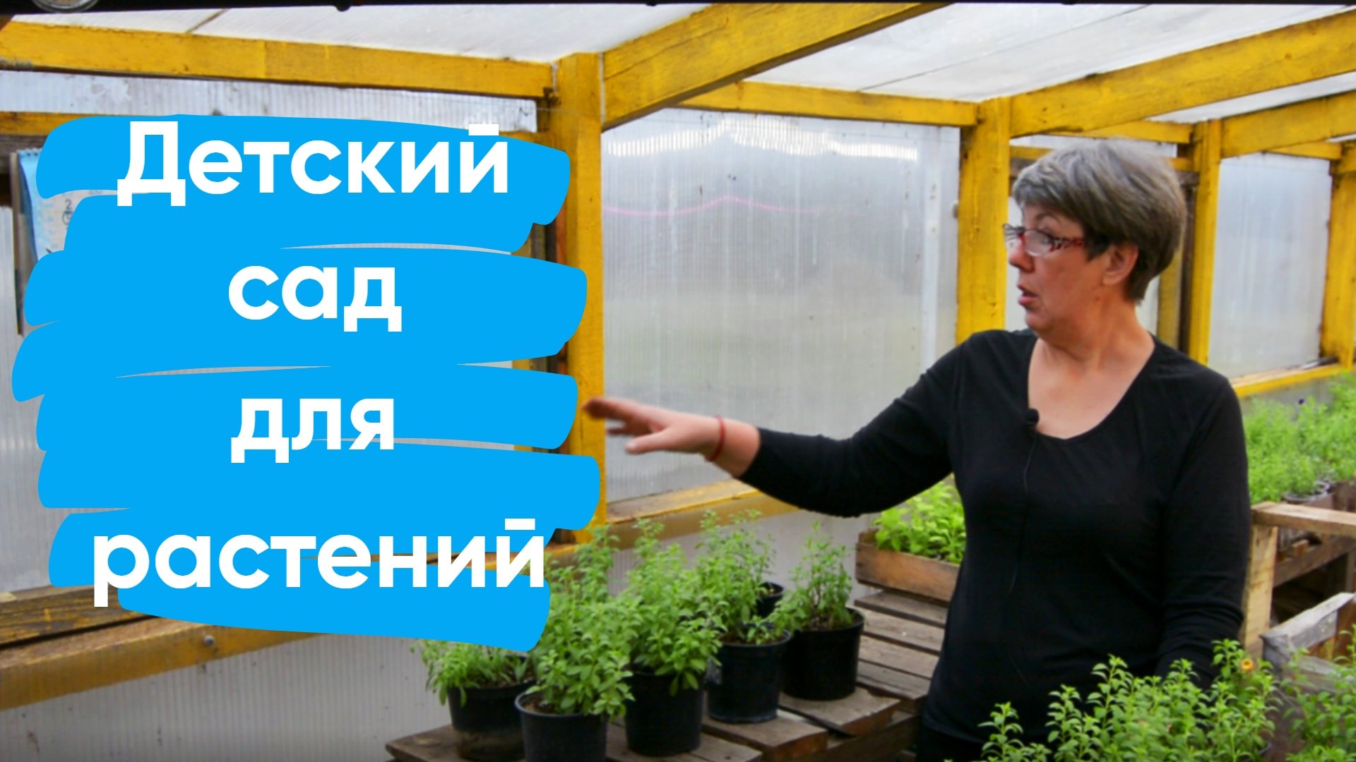 Посевная теплица. Обзор на 2-ю теплицу для цветов и черенков. Отопление.