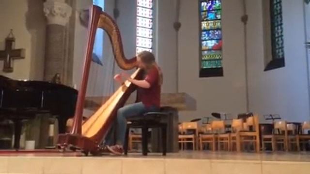 Baroque Flamenco - Suzan van den Engel смотреть онлайн