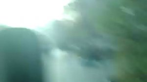 Человеческая многоножка.Начало