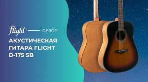 Обзор акустической гитары FLIGHT D-175 SB
