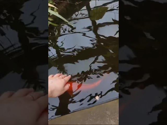 16 июня 2023 г. смотреть онлайн