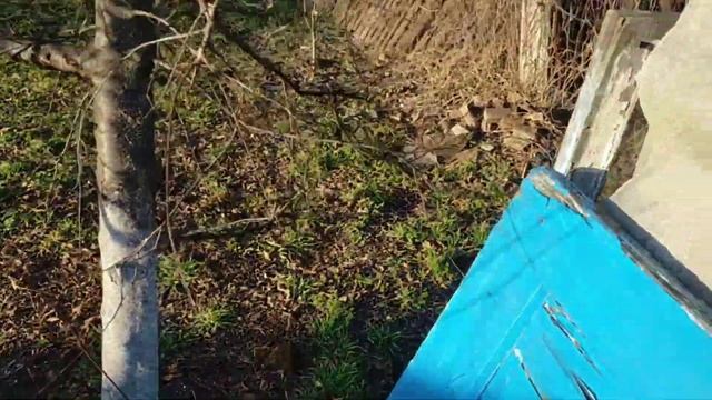 #256ПЕРЕЕХАЛИ НА ЮГ С УРАЛА/9 МЕСЯЦЕВ НА КУБАНИ/ПОГОДА УДИВЛЯЕТ смотреть онлайн