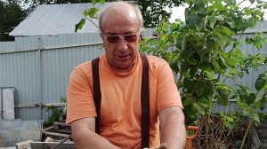 Абиссинская скважина 12метров.