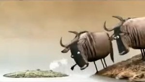 =ДВА КОЗЛА= Самый Смешной в Мире Мульт