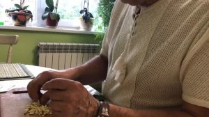 Рецепт приготовления лечебной мази на каштане