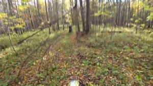 Avantis и Yamaha Мотопрохват в направление Вахтана.mp4