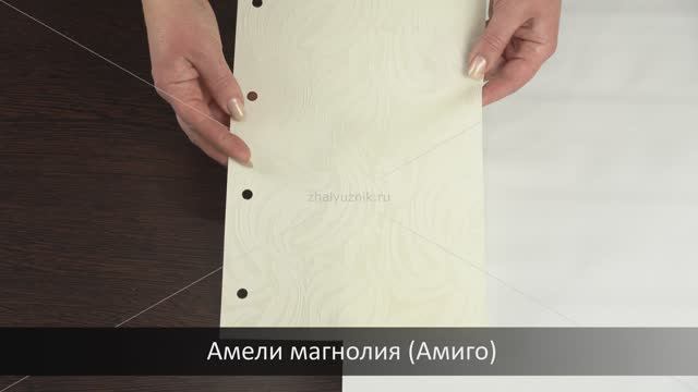 Амели магнолия (Амиго)