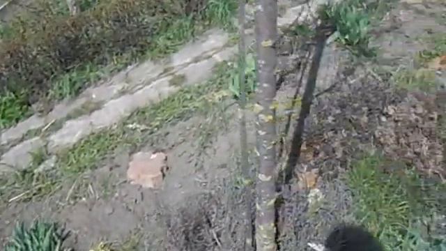 что же сейчас на даче? смотреть онлайн