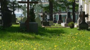 Оптинский цветник (1).