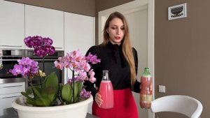 Как обработать орхидею фаленопсис от вредителей после покупки! Мучнистй червец, паутинный клещ ПОК