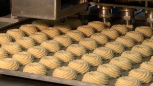 Машина тестоотсадочная валково-поршневая ТСМ-2