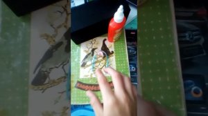 Орбизы или арбизы