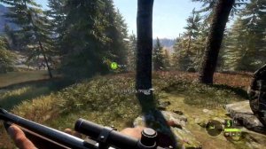 theHunter Call of the Wild #6 - Охота на медведя | Опасная охота