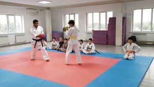 Каратэ киокушинкай. Тренировка