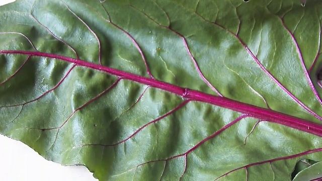 Сок из свекольной ботвы для крови смотреть онлайн