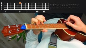 Howls Moving Castle MERRY GO ROUND OF LIFE Ukulele Tutorial with Tabs | 10K Sub Special