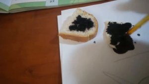 ДЕЛАЮ ОПЫТ! ЕСТЬ ЛИ КРАХМАЛ В ХЛЕБЕ, ТЕСТЕ, И ТВОГЕ?