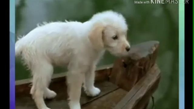 рассказ МУМУ смотреть онлайн