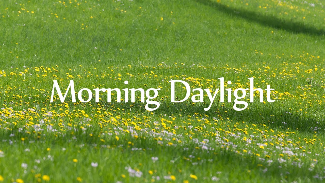 Роскошная фортепианная музыка. Инструментальная атмосферная, успокаивающая музыка. смотреть онлайн