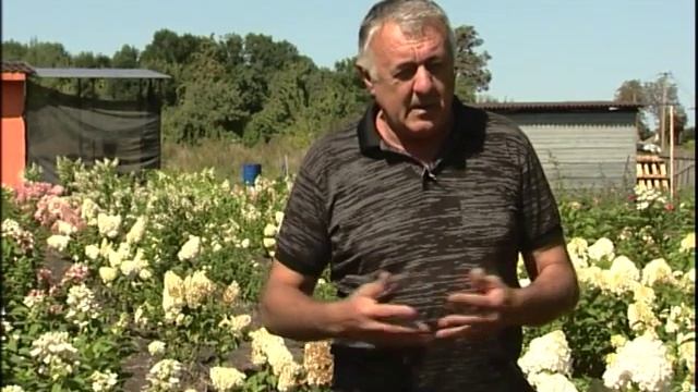 "У Дачи!" Калейдоскоп. Выпуск №12 смотреть онлайн