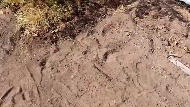 Площадка под баню. смотреть онлайн